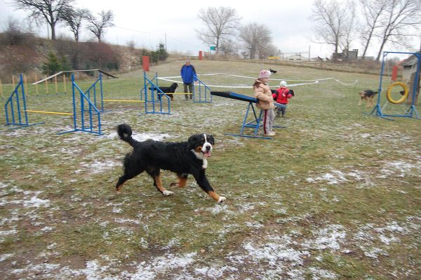 Předvánoční setkání v Žižicích 13. 12. 2009