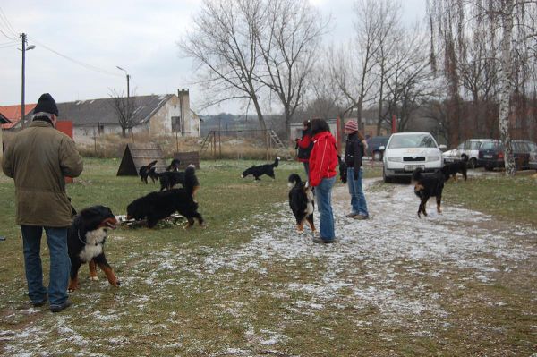 Předvánoční setkání v Žižicích 13. 12. 2009