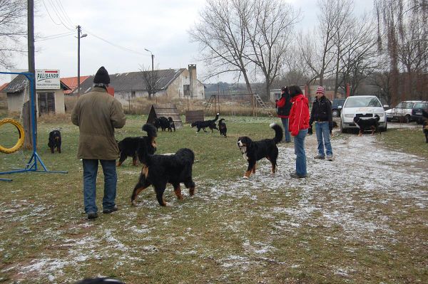 Předvánoční setkání v Žižicích 13. 12. 2009