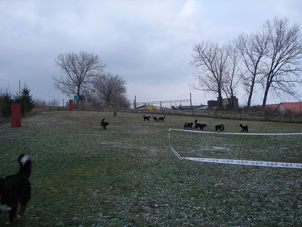 Předvánoční setkání v Žižicích 13. 12. 2009