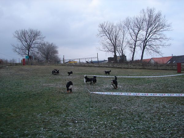 Předvánoční setkání v Žižicích 13. 12. 2009