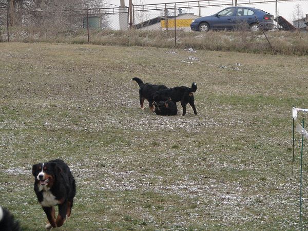 Předvánoční setkání v Žižicích 13. 12. 2009