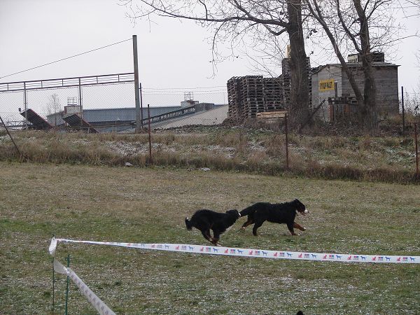 Předvánoční setkání v Žižicích 13. 12. 2009