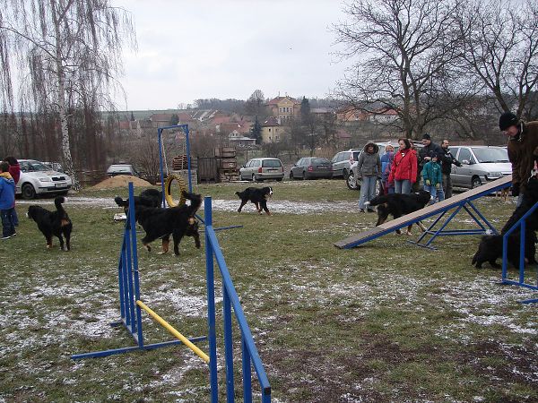 Předvánoční setkání v Žižicích 13. 12. 2009