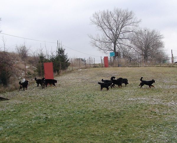 Předvánoční setkání v Žižicích 13. 12. 2009