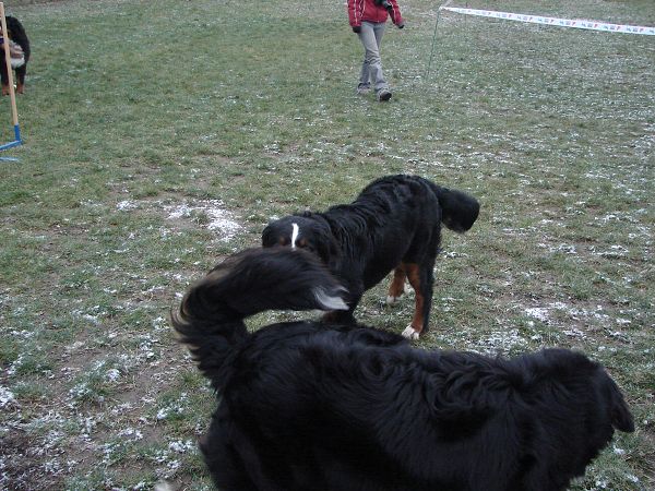 Předvánoční setkání v Žižicích 13. 12. 2009