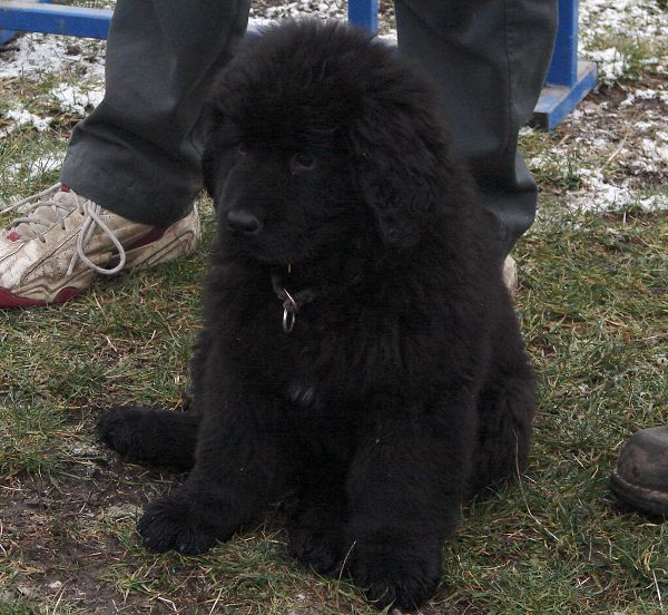 Předvánoční setkání v Žižicích 13. 12. 2009