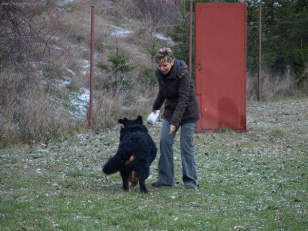 Předvánoční setkání v Žižicích 13. 12. 2009