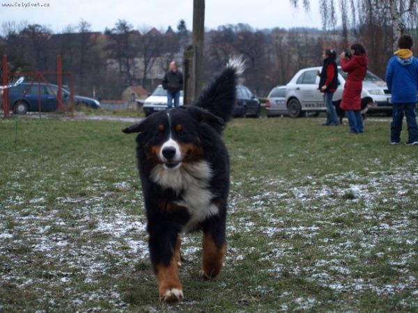 Předvánoční setkání v Žižicích 13. 12. 2009