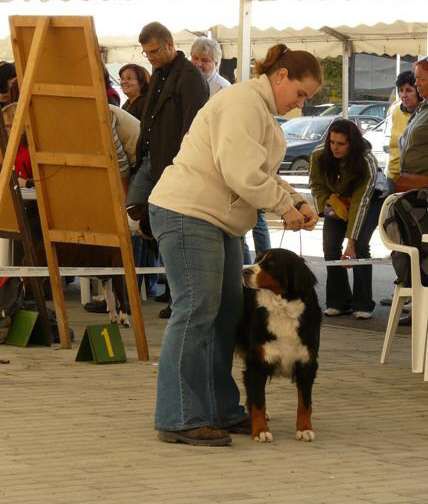 MVP Č.Budějovice 25.10.2009