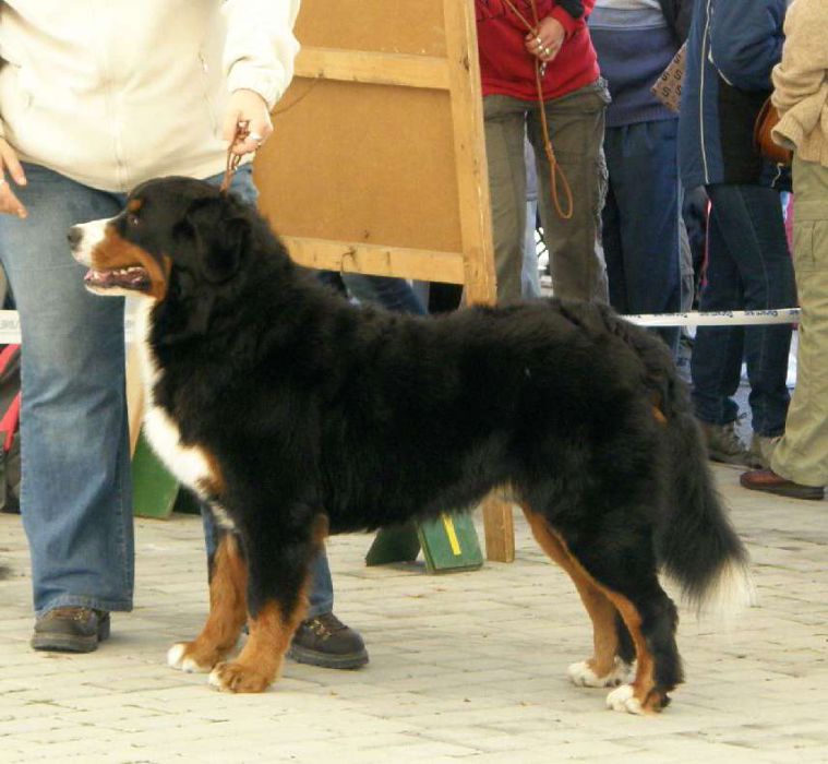 MVP Č.Budějovice 25.10.2009