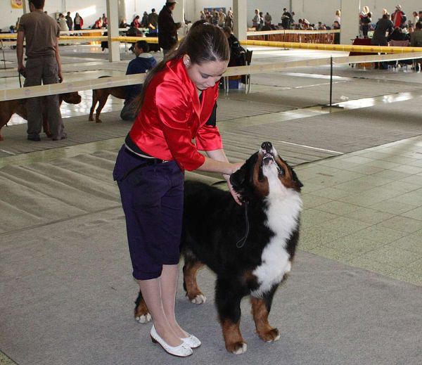 DUO CACIB Nitra 5. - 6. 12. 2009