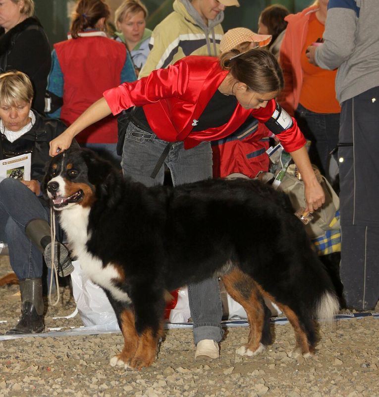 Spec. výstava SKŠSP - Čierna Voda 11.10.2009