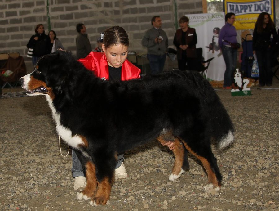 Spec. výstava SKŠSP - Čierna Voda 11.10.2009