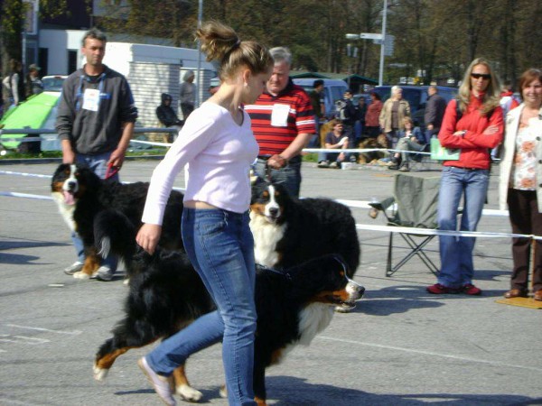 MVP České Budějovice 25. 04. 2010