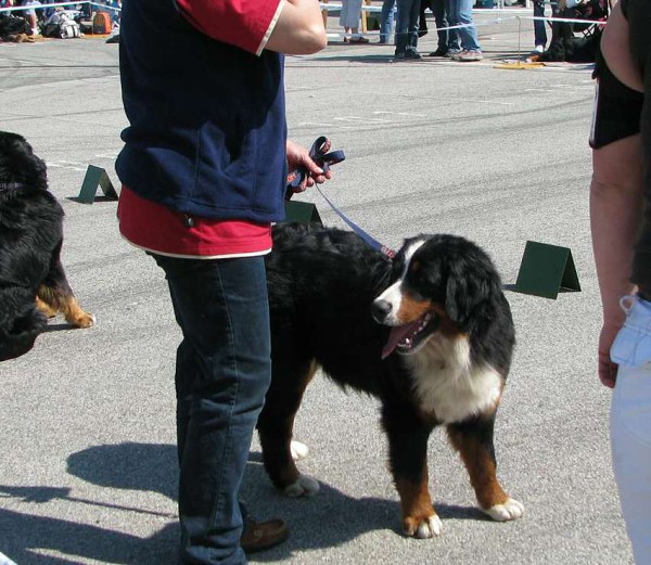 MVP České Budějovice 25. 04. 2010