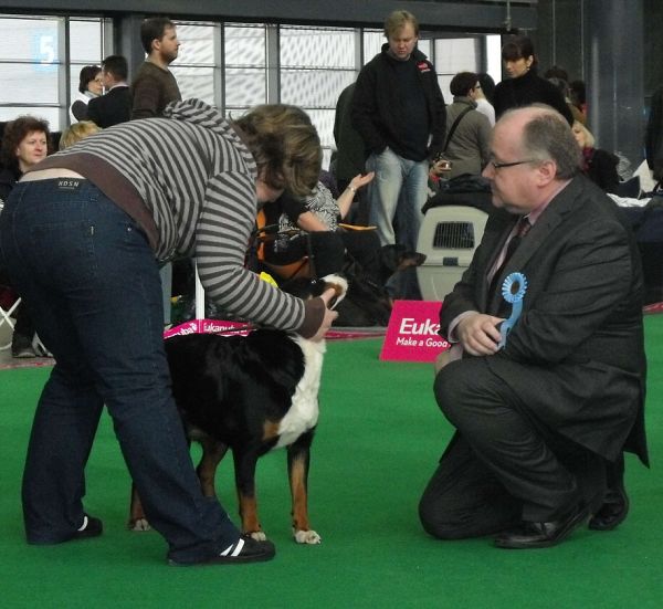 DUO CACIB Brno - Assiniboya Queen Elsa (BOB)