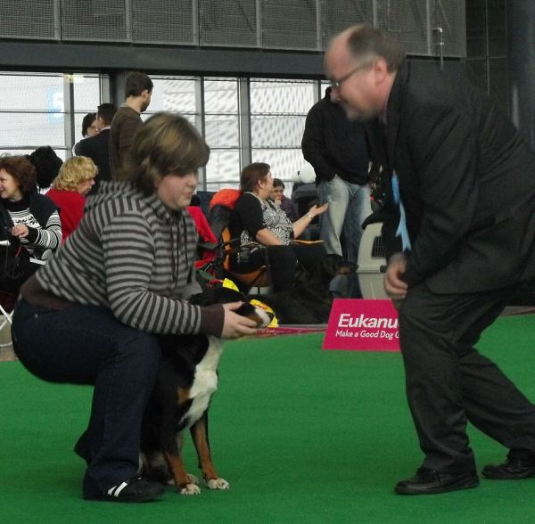 DUO CACIB Brno - Assiniboya Queen Elsa (BOB)