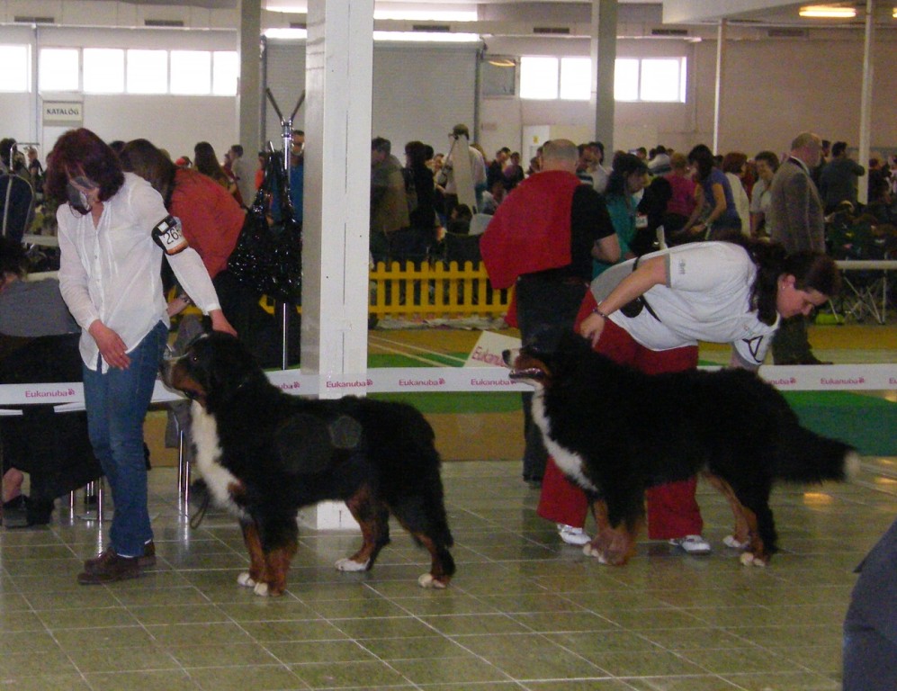 DUO CACIB Nitra 24.-25.3.2012