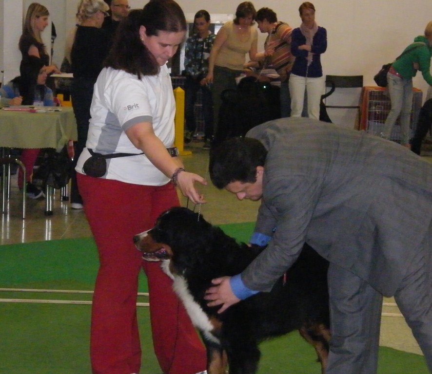 DUO CACIB Nitra 24.-25.3.2012