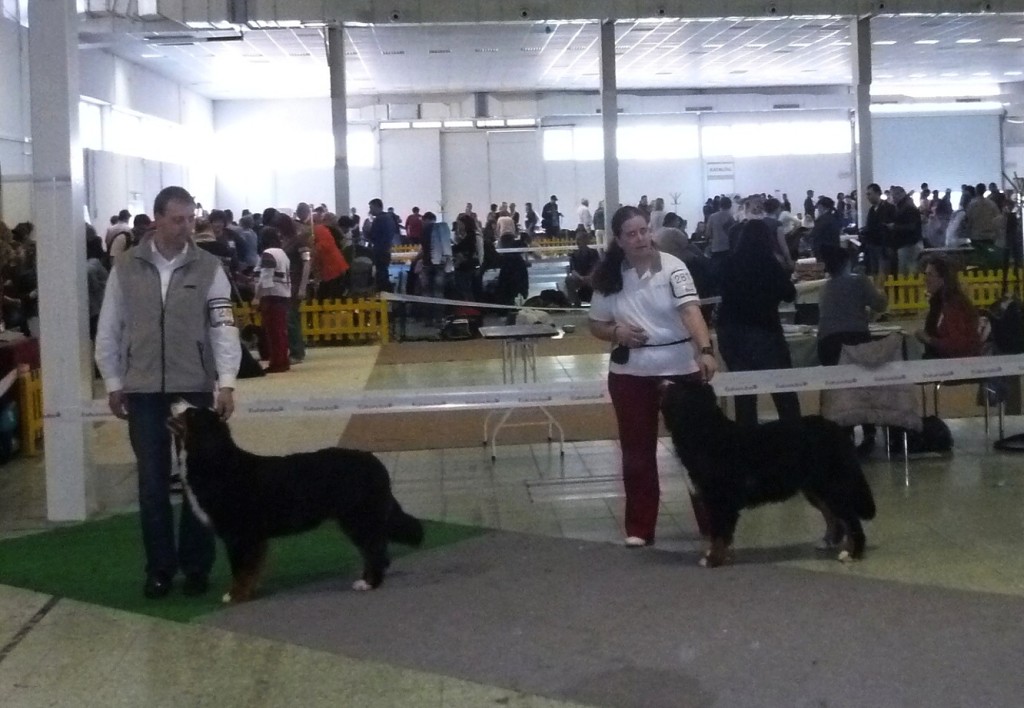 DUO CACIB Nitra 24.-25.3.2012