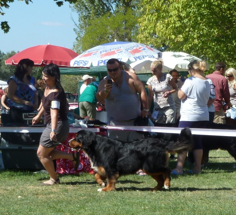 DUO CACIB Székesfehérvár 8.-9. 9. 2012