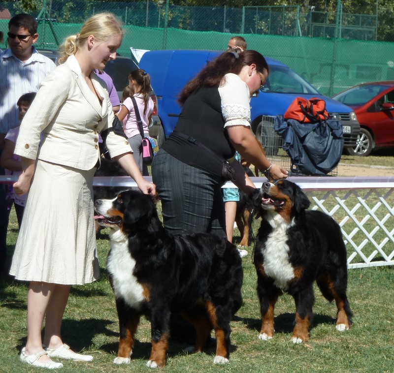 DUO CACIB Székesfehérvár 8.-9. 9. 2012