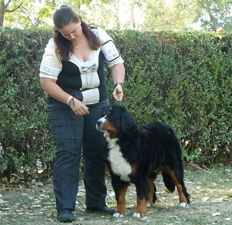 DUO CACIB Székesfehérvár 8.-9. 9. 2012