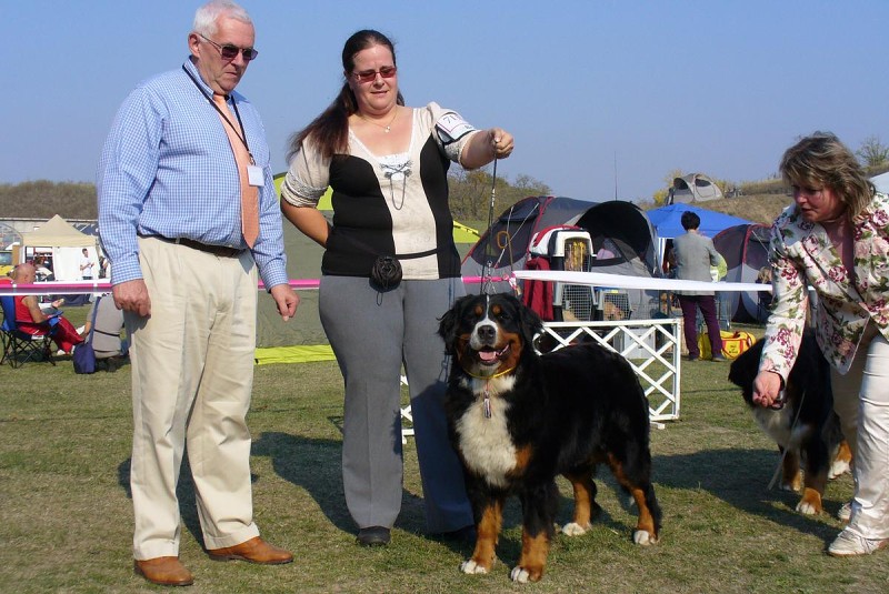 DUO CACIB Komárom  20.-21.10. 2012