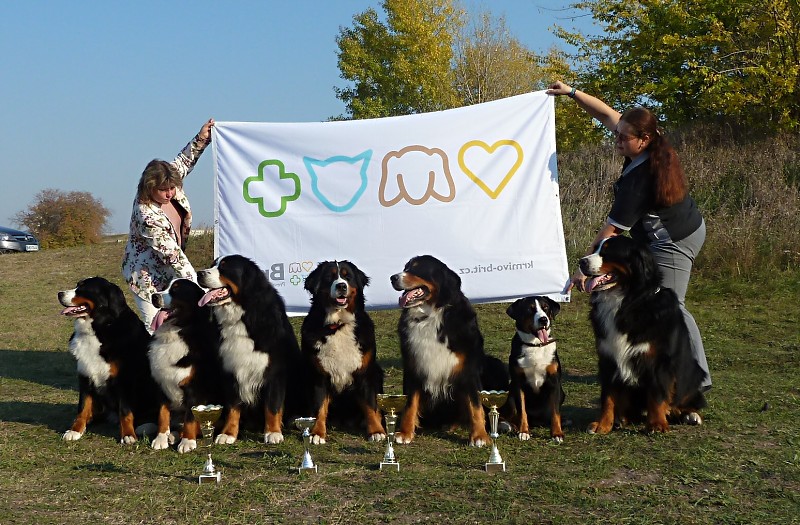 DUO CACIB Komárom  20.-21.10. 2012