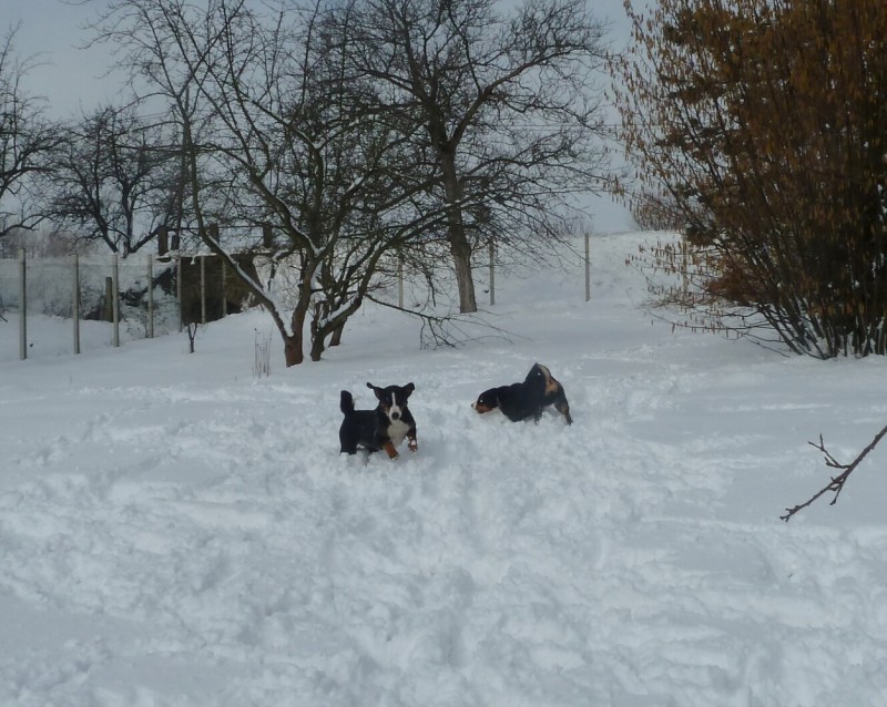 Comtessa a Claudia řádí -  24. 2. 2013