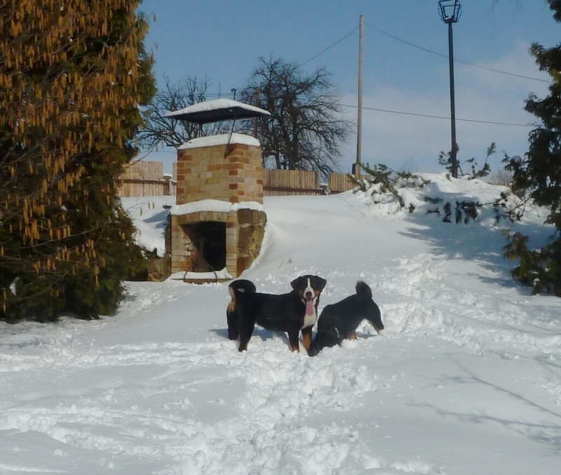 Comtessa a Claudia řádí -  24. 2. 2013