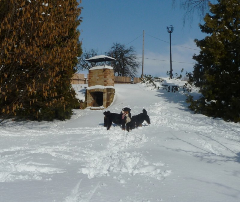 Comtessa a Claudia řádí -  24. 2. 2013