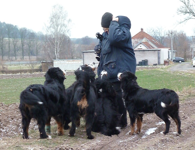 Lednová procházka s Persíkem