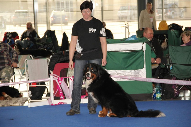 DUO CACIB Brno - 2.-3. 2. 2013  berner