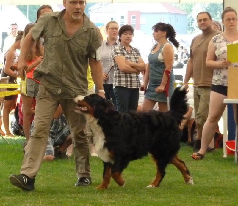 NVP Mladá Boleslav 20.7.2014