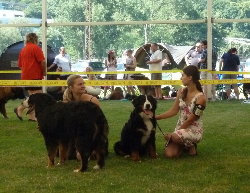 NVP Mladá Boleslav 20.7.2014