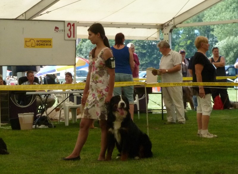 NVP Mladá Boleslav 20.7.2014