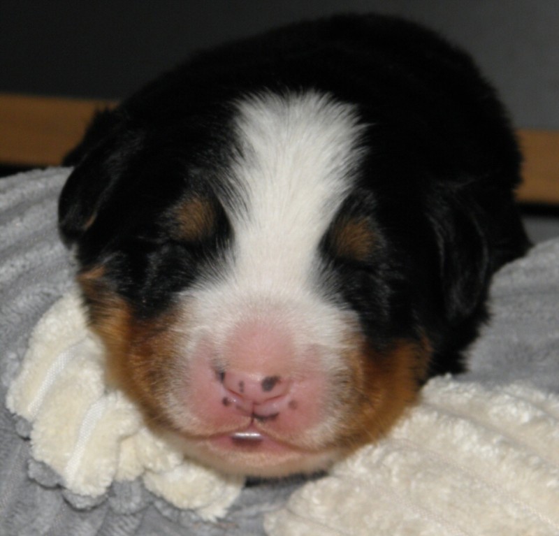 Vivian Baby4 