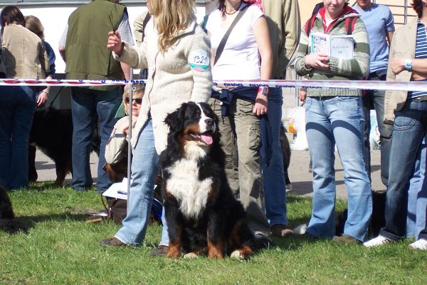 Ganty - NVP Ostrava 15.4.2007