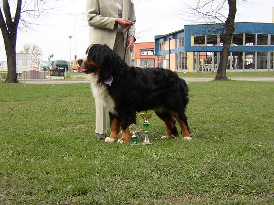 esk Budjovice 04/2005
