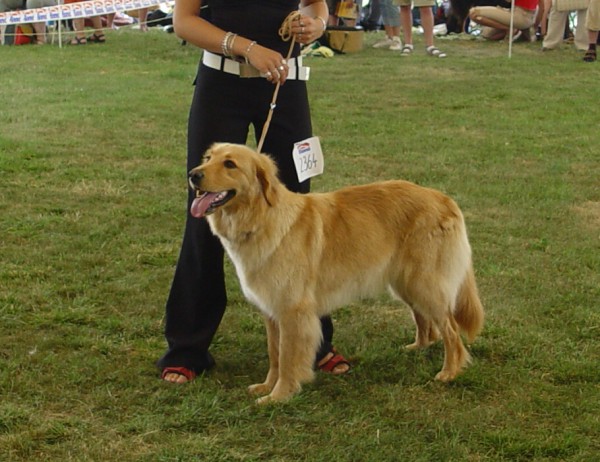 NVP Mladá Boleslav 23.7.2006