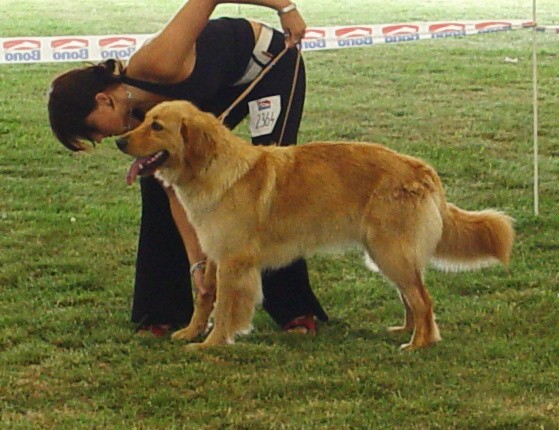 NVP Mladá Boleslav 23.7.2006