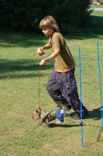 Závody o bronzového a železného psa