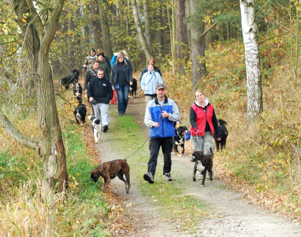 Podzim. víkend - neděle 26. 10. 2008
