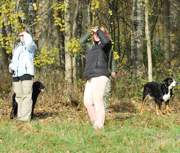 Podzim. víkend - neděle 26. 10. 2008