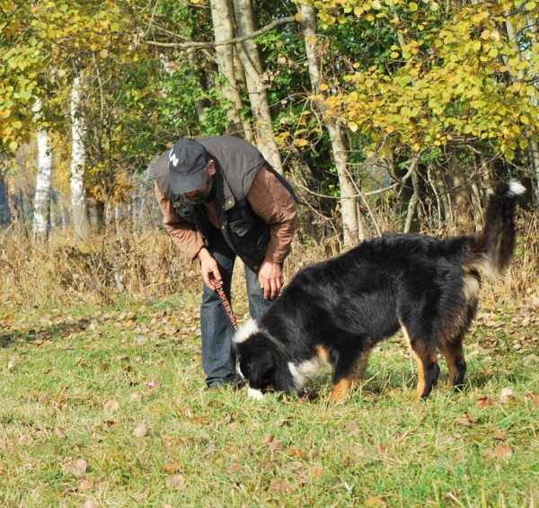 Podzim. víkend - neděle 26. 10. 2008