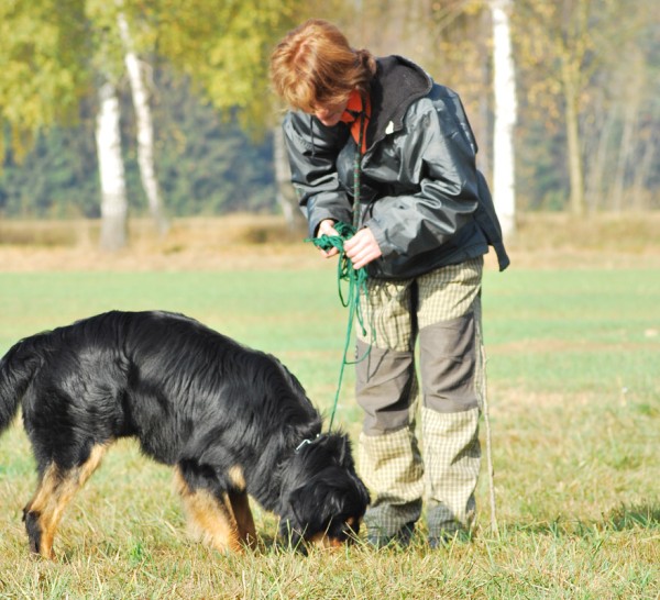 Podzim. víkend - neděle 26. 10. 2008