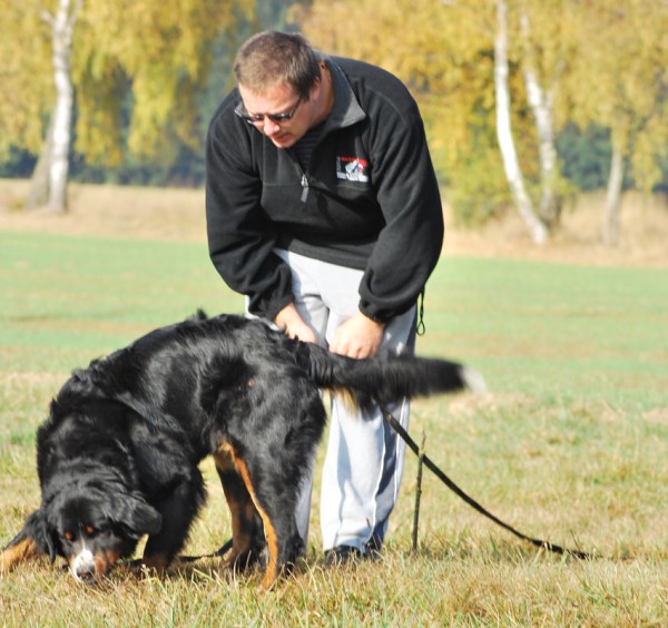 Podzim. víkend - neděle 26. 10. 2008