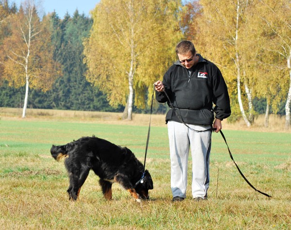 Podzim. víkend - neděle 26. 10. 2008